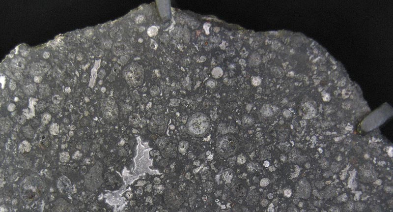 Meteorite Cl1: This May be the Most Important Scientific Discovery So Far in the 21st Century